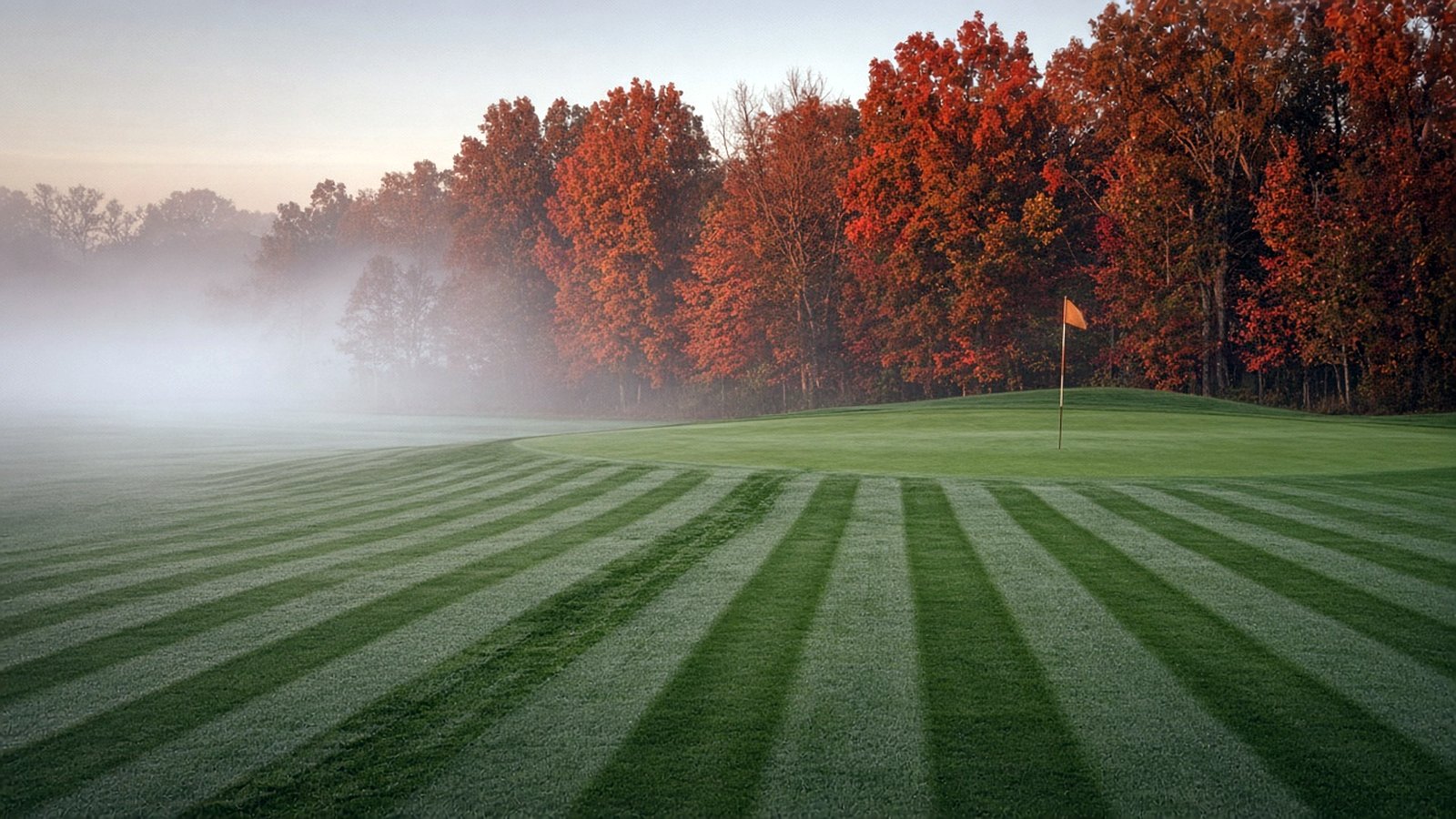 Misty fairway at dawn with hardwoods behind